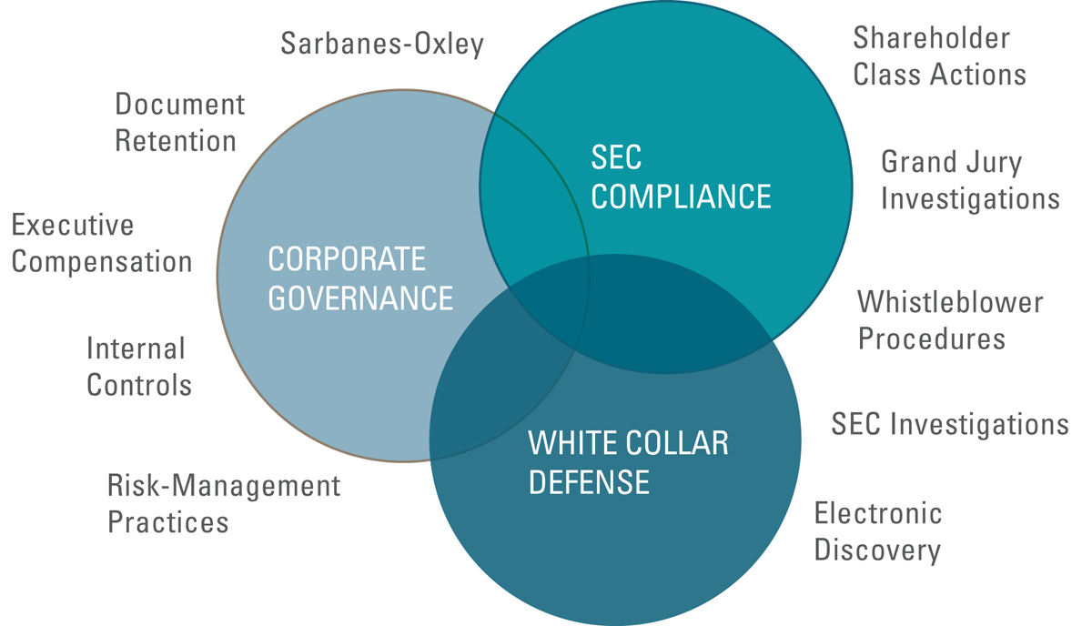 ADVANCED GOOD CORPORATE GOVERNANCE 