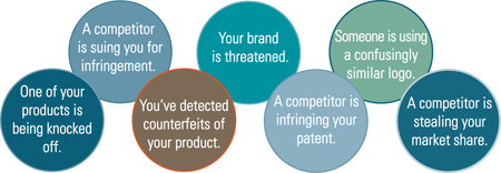 IP Litigation