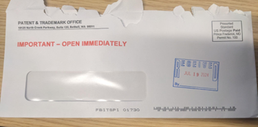 Examples: posing as official documentation