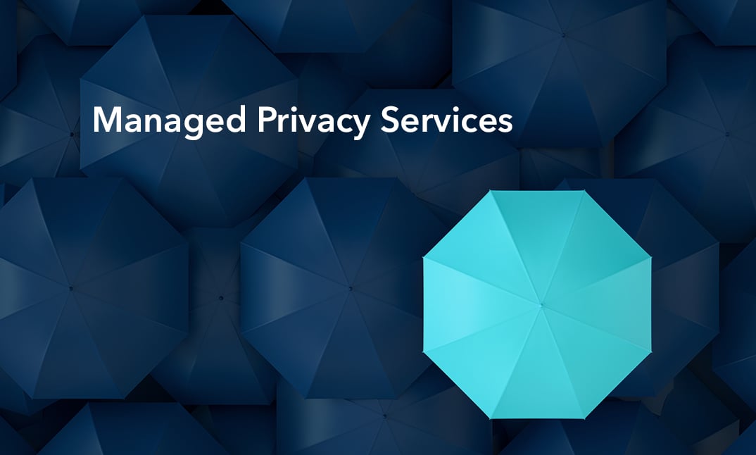 Blue Umbrellas - Managed Privacy Services