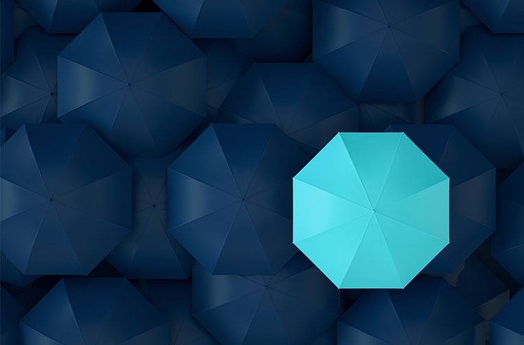 Privacy Assessment Services